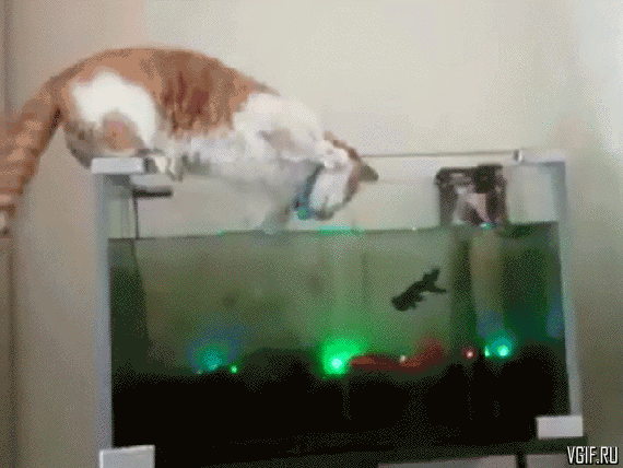 Гифки разные