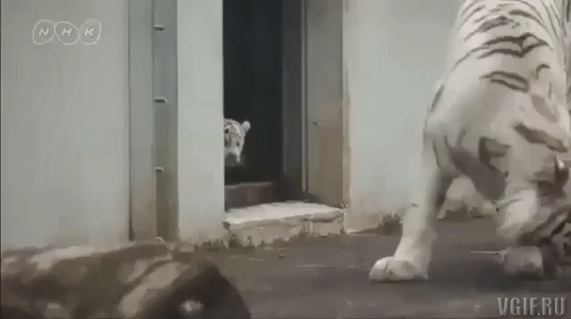 Гифки разные Гифки разные