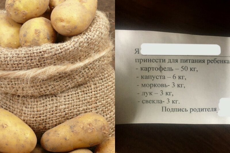 Родителей брянских школьников попросили сдать по два мешка картошки
