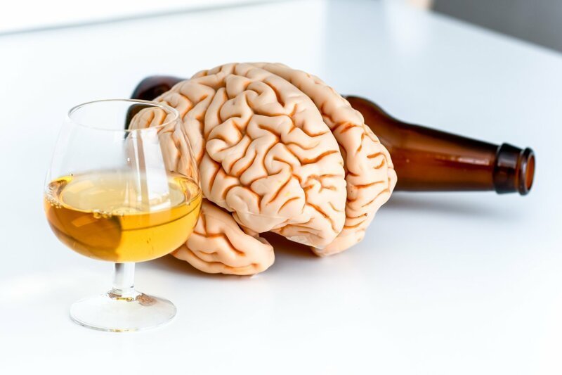 Влияние алкоголя на головной мозг человека