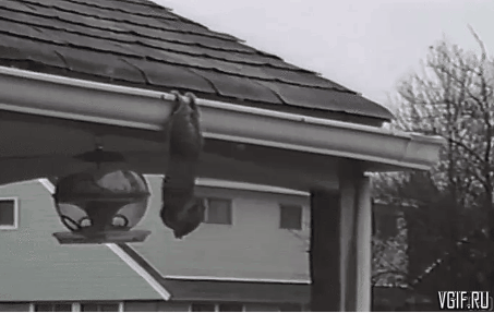 Гифки разные