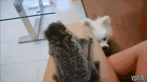 Гифки разные