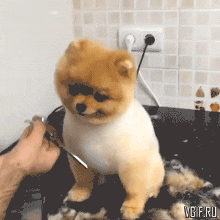 Гифки разные