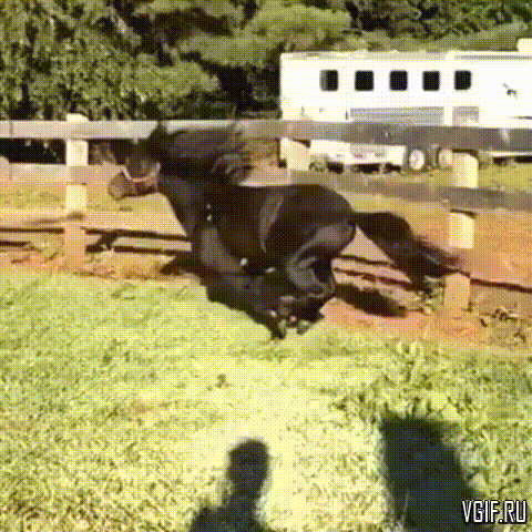 Гифки разные