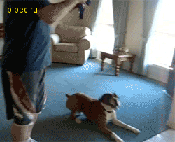 Гифки разные Гифки разные