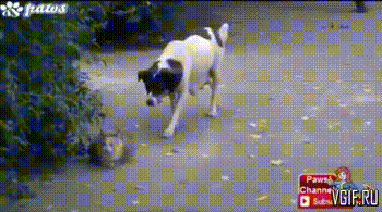 Гифки разные Гифки разные