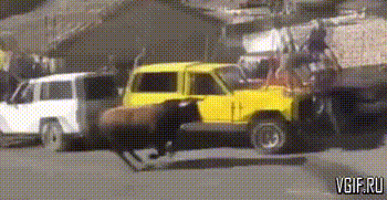 Гифки разные Гифки разные