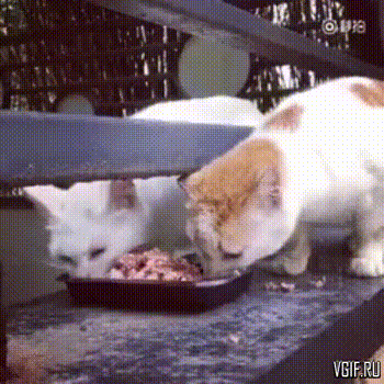 Гифки разные Гифки разные