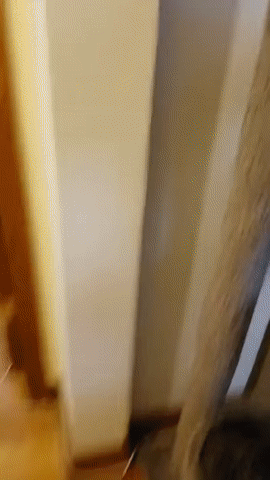 У каждого свое место