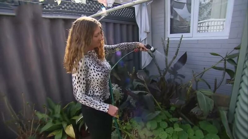 Вегетарианка хочет засудить соседа из-за запаха шашлыков