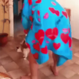 Тверк на домашний лад