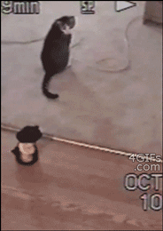 Гифки разные