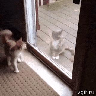 Гифки разные