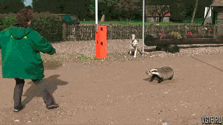 Гифки разные