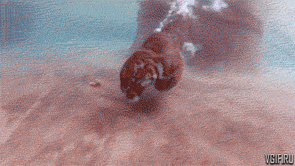 Гифки разные