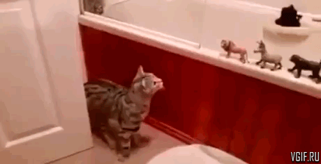 Гифки разные