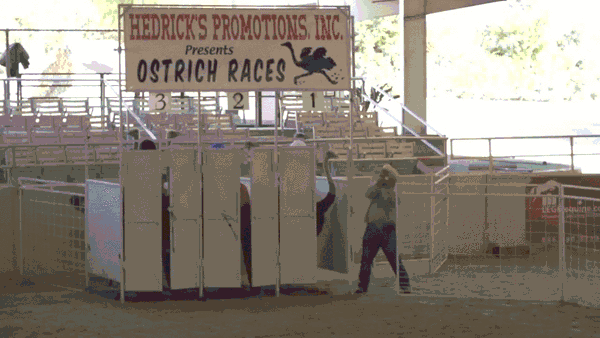 Гифки разные Гифки разные