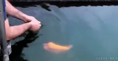 Гифки разные Гифки разные