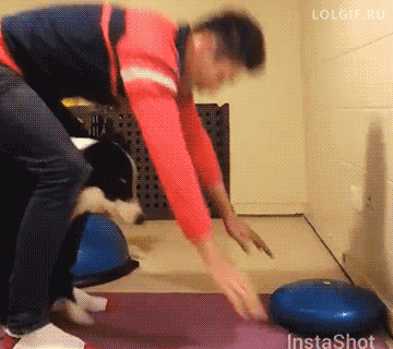 Гифки разные Гифки разные