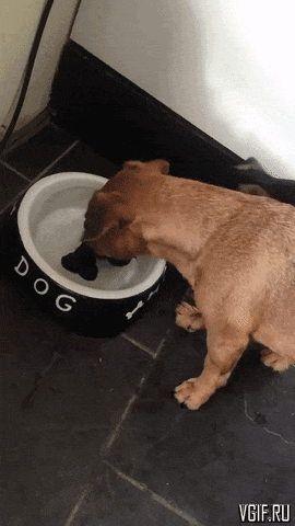 Гифки разные Гифки разные