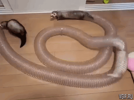 Гифки разные Гифки разные