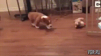 Гифки разные Гифки разные