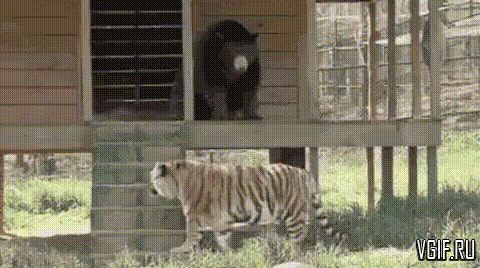 Гифки разные Гифки разные