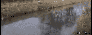 Гифки разные Гифки разные