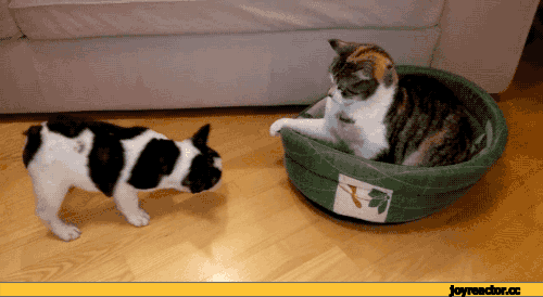 Гифки разные Гифки разные