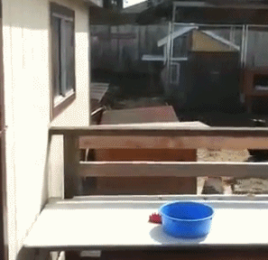 Гифки разные Гифки разные