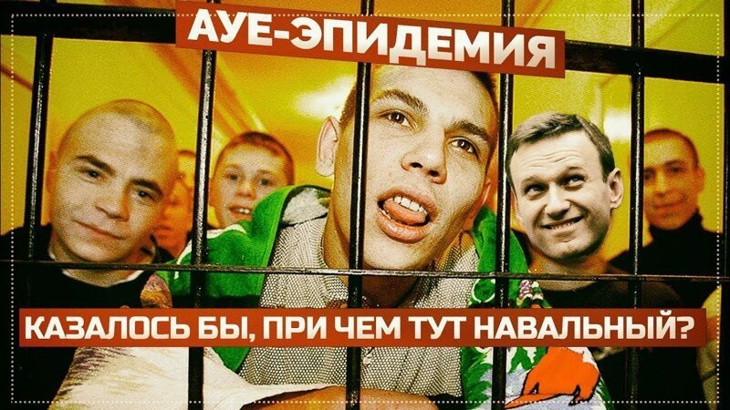 Разбойник, напавший на Эллу Памфилову, задержан - кто он, и причем тут Навальный?