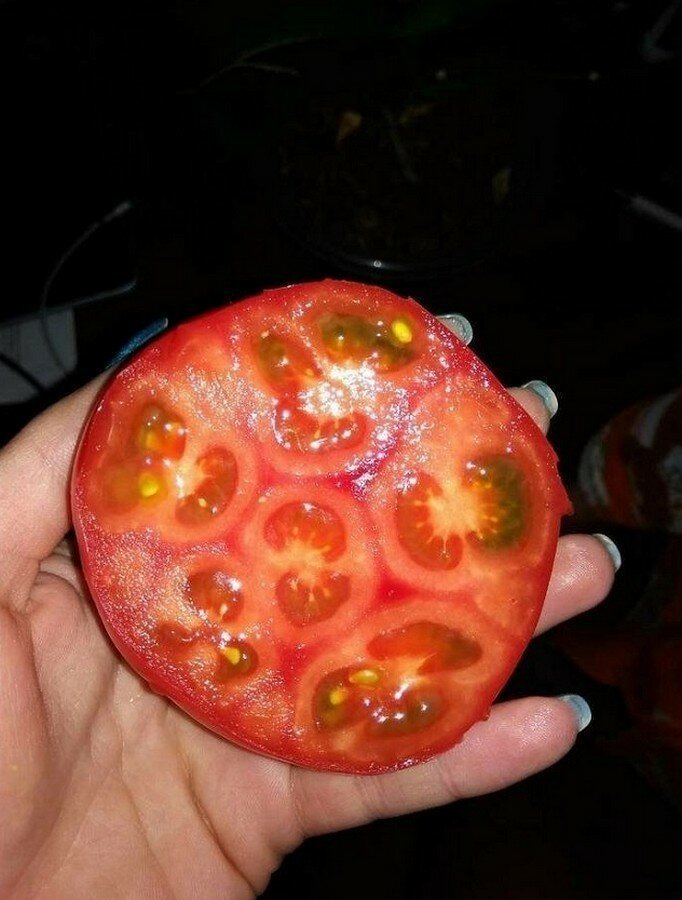 Помидоры в помидоре