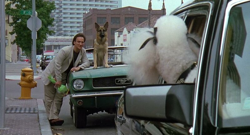 История пса-актера из фильма «К-9: Собачья работа», вышедшего 30 лет назад
