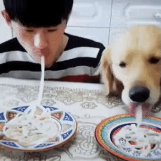 Гифки разные