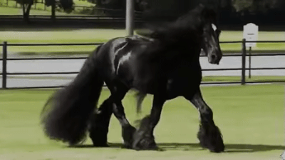 Гифки разные