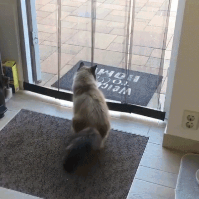 Гифки разные