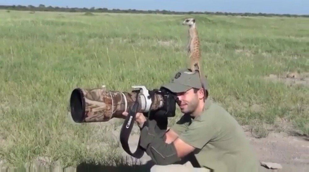 Подборка интересных и веселых картинок от Иван Кемеров за 09 сентября 2019