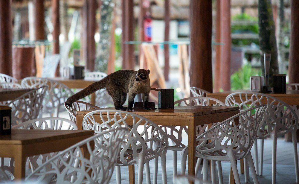 Подборка интересных и веселых картинок от Иван Кемеров за 09 сентября 2019