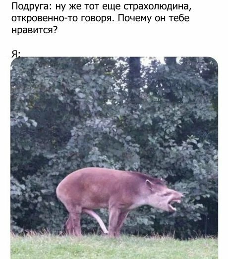 Картинки с надписями