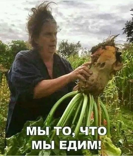 Картинки с надписями