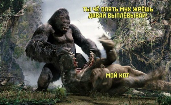 Картинки с надписями