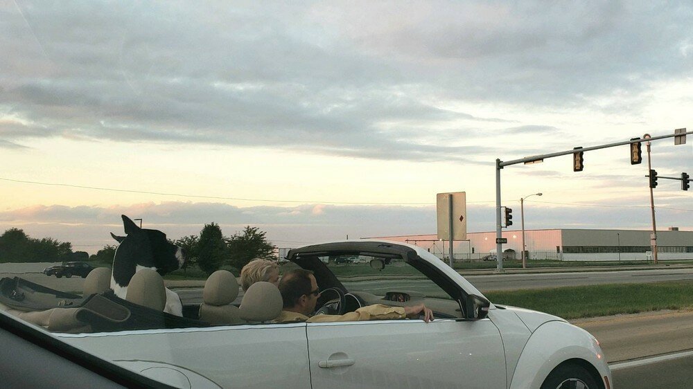 Фотоподборка от Димон за 09 сентября 2019 22:15