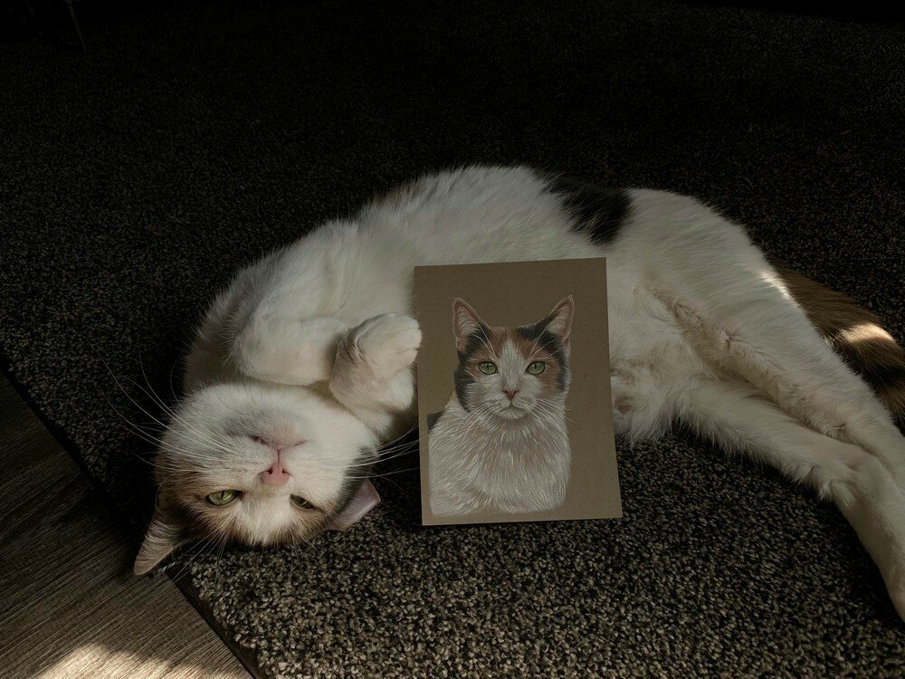 Фотоподборка от Димон за 09 сентября 2019 22:15