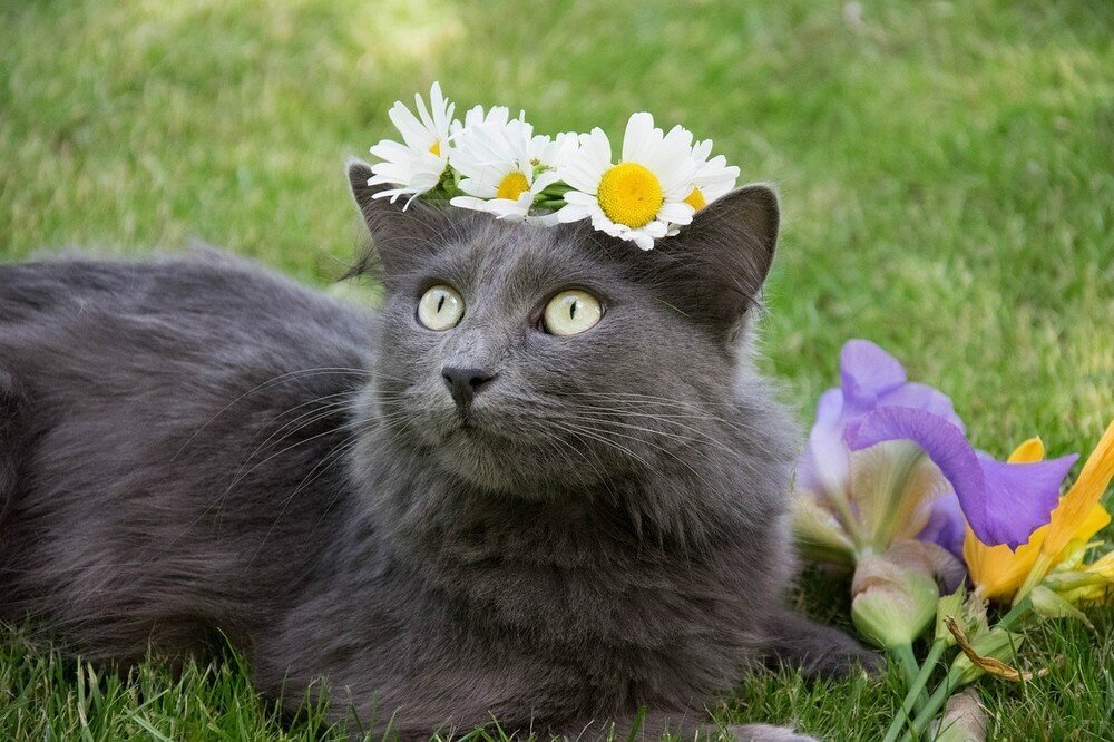 Фотоподборка от Димон за 09 сентября 2019 22:15