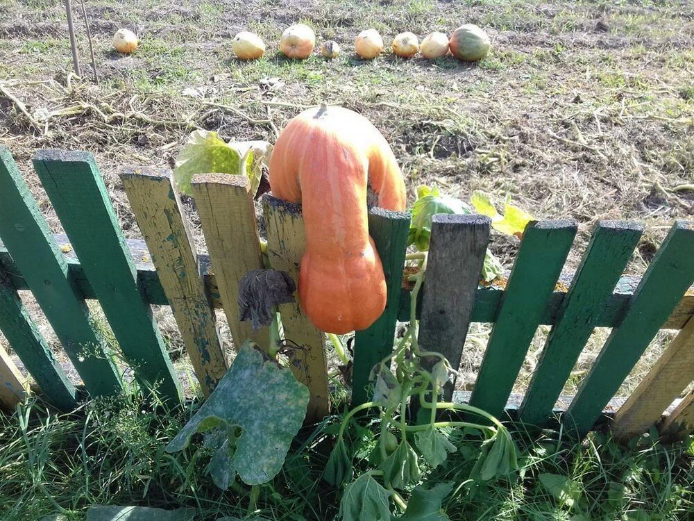 Фотоподборка от Димон за 09 сентября 2019 22:15