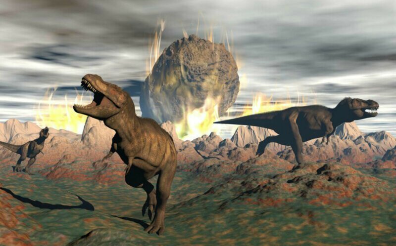 День, когда вымерли динозавры: ученые выявили детали последнего дня мезозоя