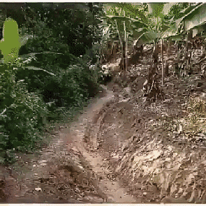 Гифки разные