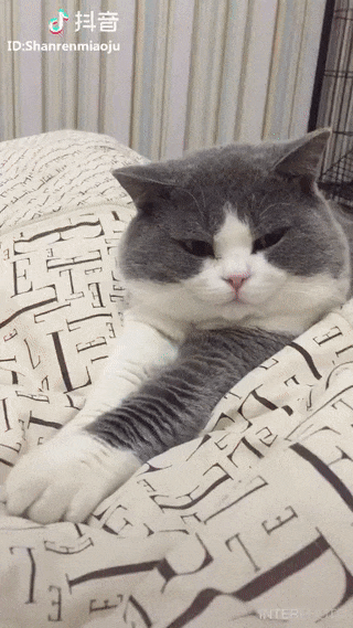 Гифки разные