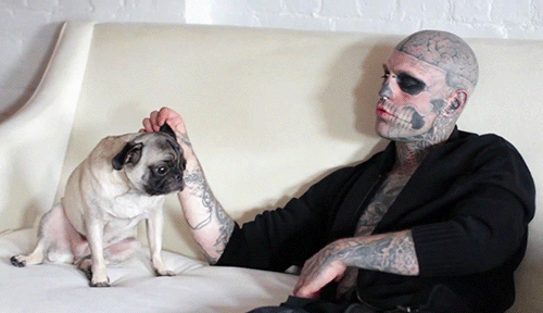 Гифки всякие