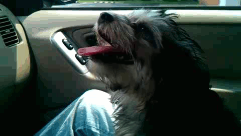 Гифки всякие